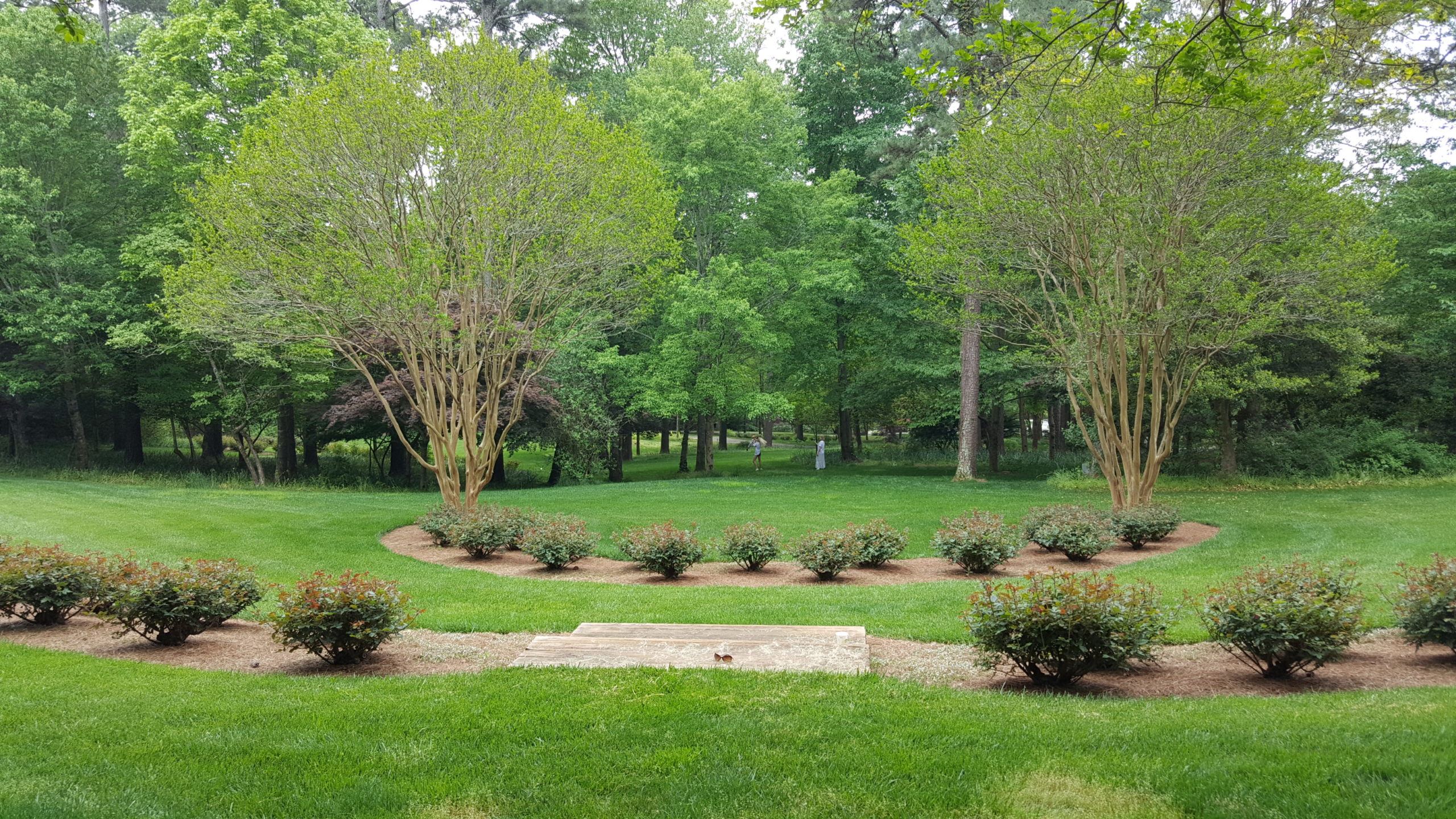 Coffee Grounds As Lawn Fertilizer